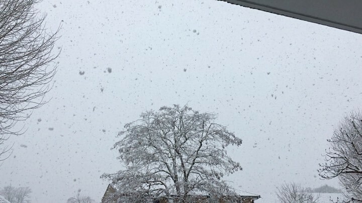 soshanau's tweet photo. Whiteout π€βοΈ The Three Graces and snow falling βοΈπ³βοΈπ³βοΈπ³βοΈ #thethreegraces #snow #uksnow #lookup #treesfromwindows #treesfrommywindow #trees #treesofinstagram #threegraces #coviddiaries https://t.co/9IVeR6NVj4 https://t.co/0IaJYnSApe