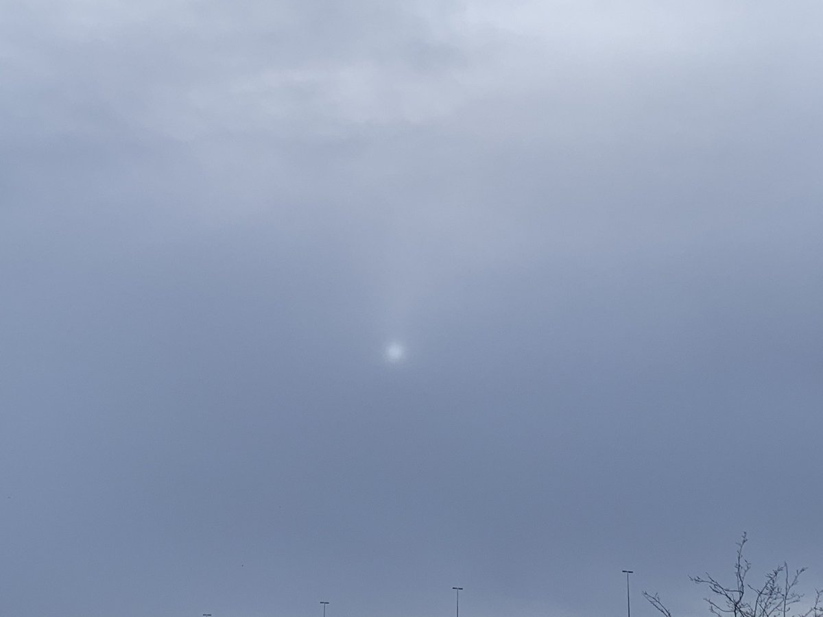 EleanorErga's tweet photo. #TheChildInUs 🏃♀️running in the snow - wonderful! Empathising with the sun - looked like was in lockdown and trying to figure way out of it again! To top it all - dogs sailing on the Lagan! And isn’t even midday yet! Good to be alive ✨✨💕🏃♀️ https://t.co/mRVLRjt8xL