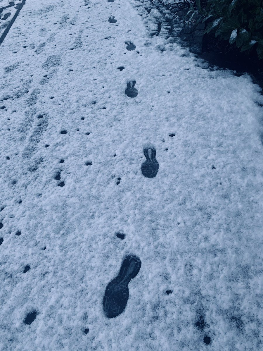 EleanorErga's tweet photo. #TheChildInUs 🏃♀️running in the snow - wonderful! Empathising with the sun - looked like was in lockdown and trying to figure way out of it again! To top it all - dogs sailing on the Lagan! And isn’t even midday yet! Good to be alive ✨✨💕🏃♀️ https://t.co/mRVLRjt8xL