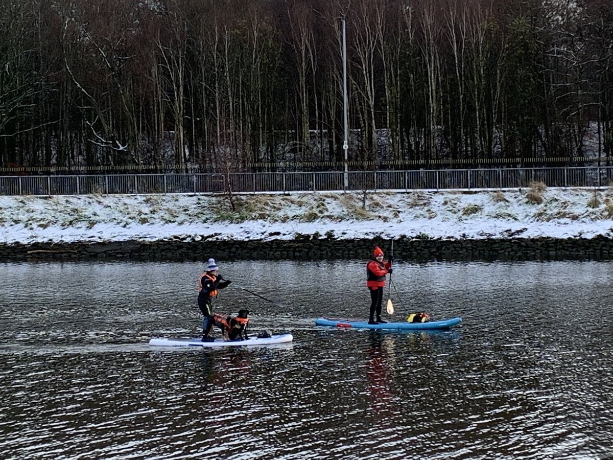 EleanorErga's tweet photo. #TheChildInUs 🏃♀️running in the snow - wonderful! Empathising with the sun - looked like was in lockdown and trying to figure way out of it again! To top it all - dogs sailing on the Lagan! And isn’t even midday yet! Good to be alive ✨✨💕🏃♀️ https://t.co/mRVLRjt8xL