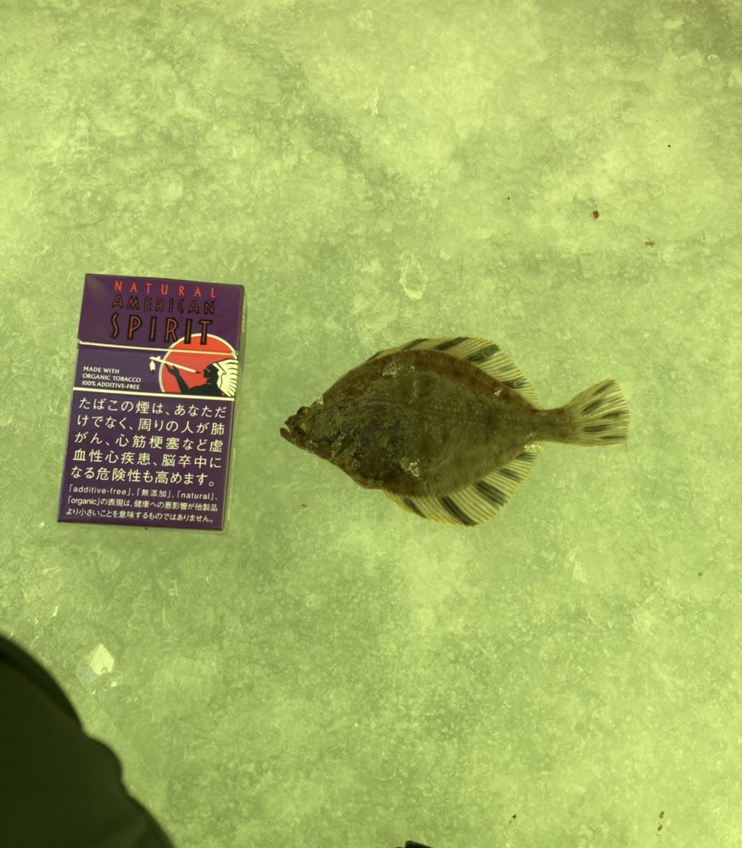 尾越亮介 釧路ソフトクリームアンバサダー 釧路ポータルマガジン今人 別保川にカレイがいるとは 釣り 釧路 道東 北海道 冬遊び