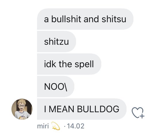 yrstruggles's tweet photo. a shitzu and a what? https://t.co/6Dko55B4B1