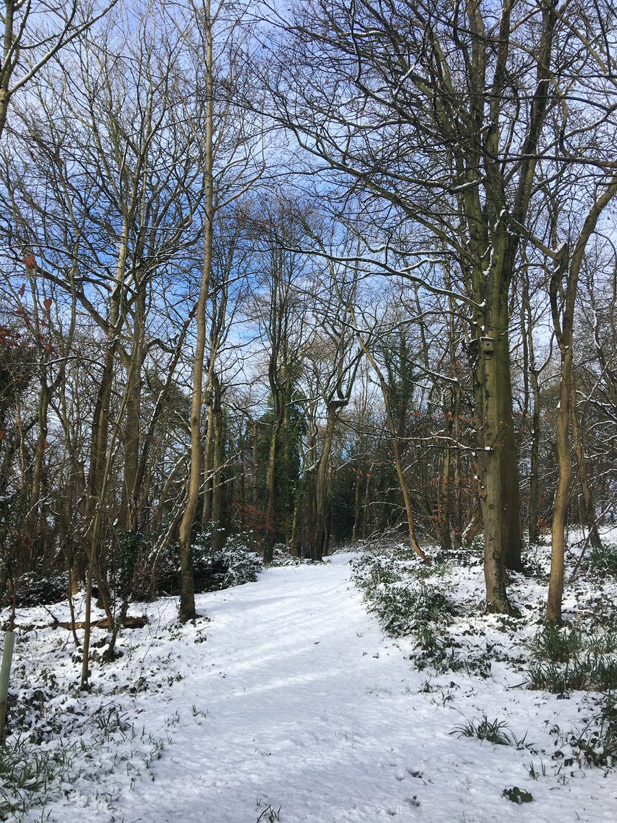 Spitfiredame tweet media