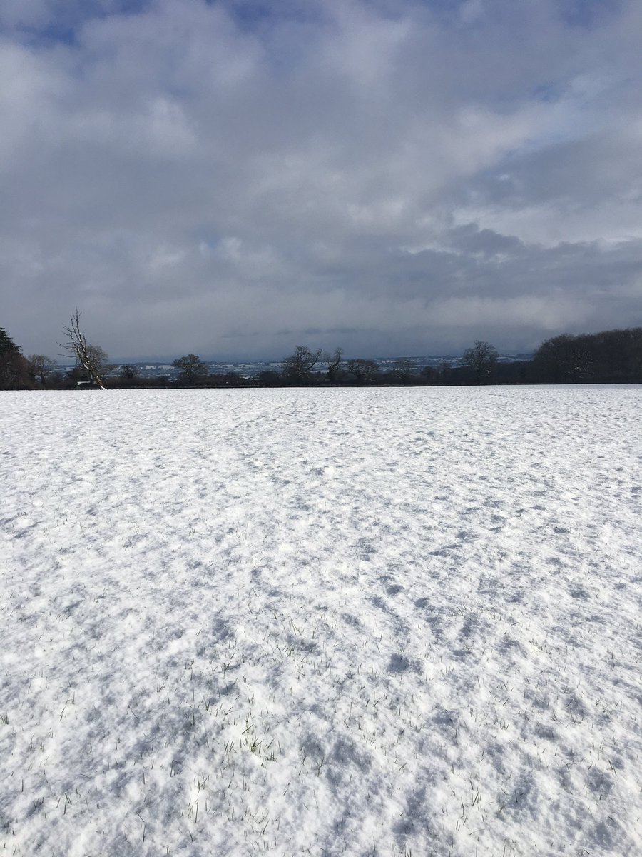 Spitfiredame tweet media