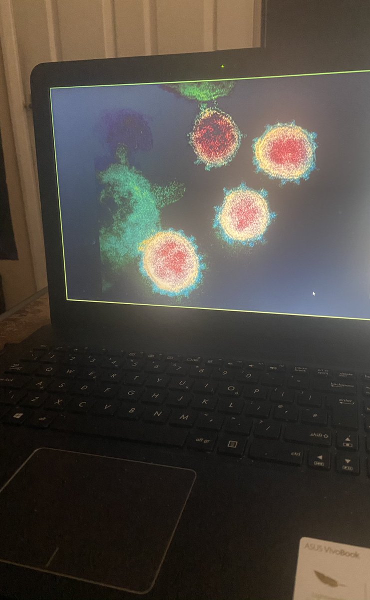 Aaronplem's tweet photo. Loved the Session on Zoom with @ExplorerDome this morning, All About the Human Body and Cells
Nice to not think about Self Isolation for a bit, Thank you @WhizzKidz #ExplorerDome https://t.co/chHe6godcd