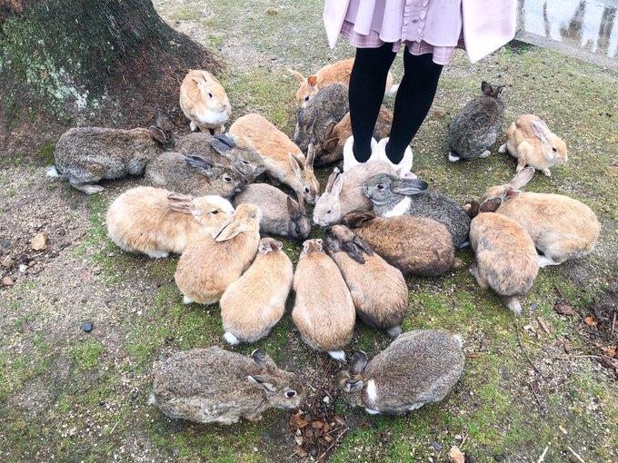 Twitterのコスプレ画像39