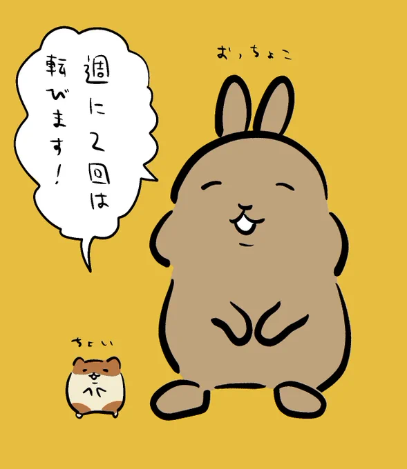 うさぎのおっちょことハムスターのちょい。
#おっちょこちょいず 