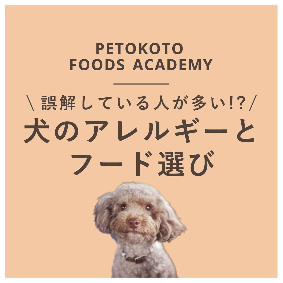 ペットのことならペトコト Petokoto 公式 犬のアレルギーとフード選び 1 アレルギー検査の意味 2 アレルギー検査のデメリット 3 ドッグフードの選び方 4 食物アレルギーの症状 5 アレルギーが気になる場合のドッグフード選び T Co ペットのことならペトコト Petokoto 公式 犬のアレルギーとフード選び 1 アレルギー検査の意味 2 アレルギー検査のデメリット 3 ドッグフードの選び方 4 食物アレルギーの症状 5 アレルギーが気になる場合のドッグフード選び T Co