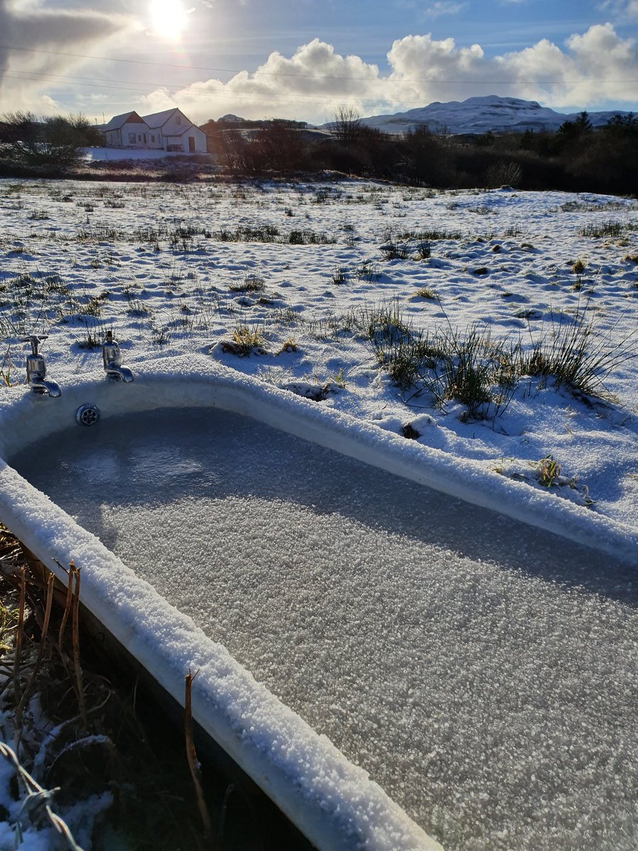 fifer777's tweet image. Last day of #lockdownleave so a wander in the snow... don't know if I will find it so much fun if its still there tomorrow 🤔