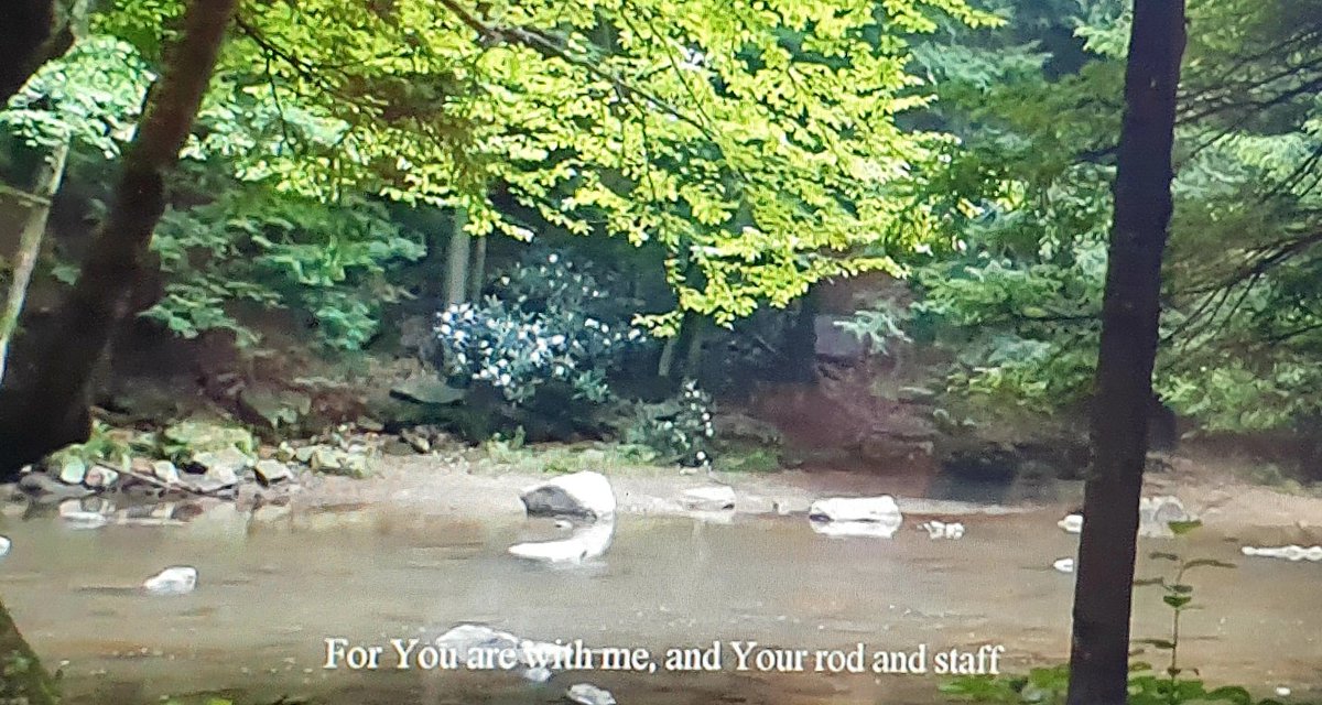 TheAngel_Cafe's tweet photo. Zoom Worship from Huish Episcopi 😇 Thank you Rector Jess &amp; Greg for a service full of love &amp; hope 🙏
#Christian #stmaryshuishepiscopi #zoomworship https://t.co/iqV7FpEXi5