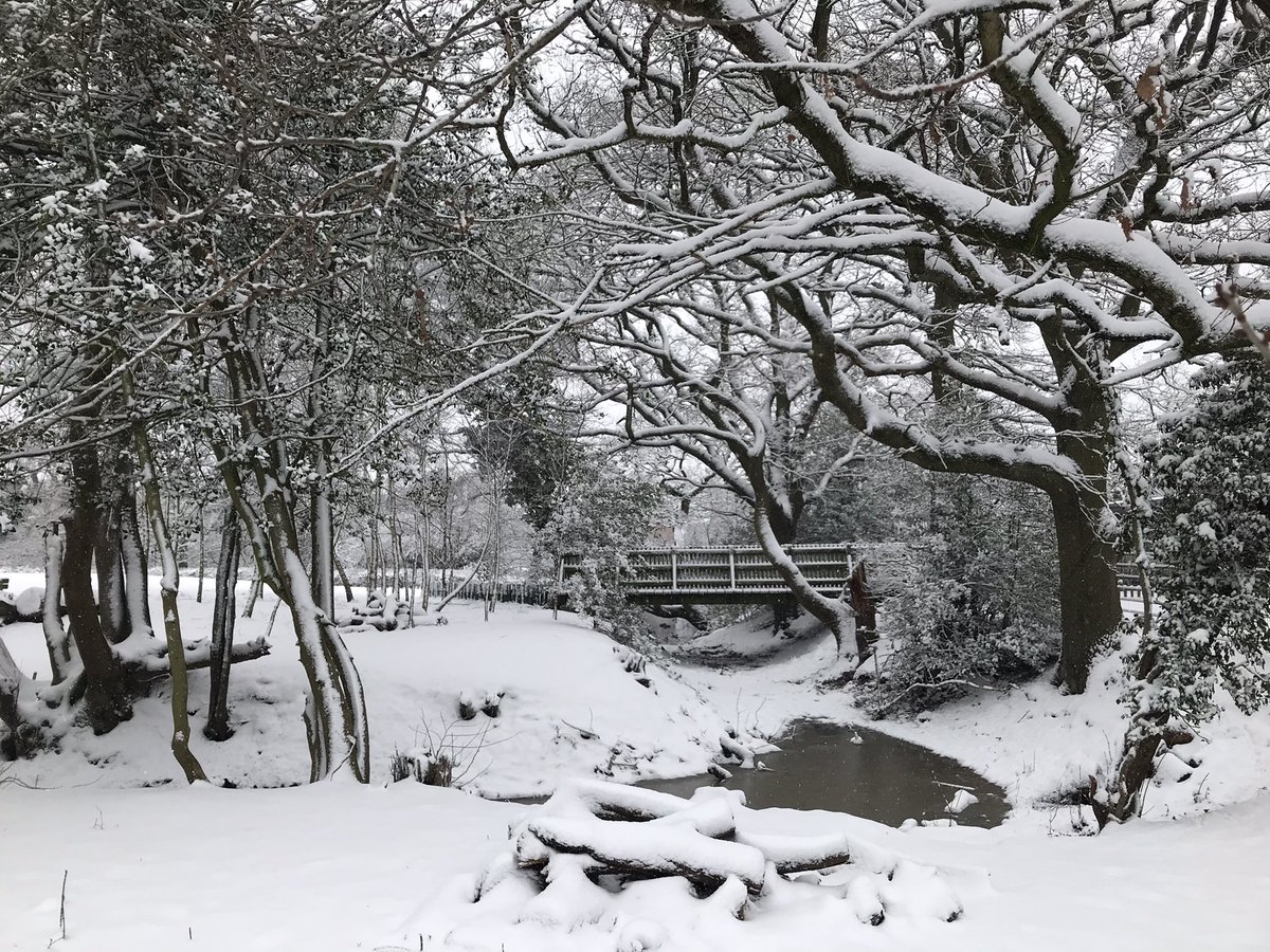 WVentham's tweet photo. Winter Scenes ❄️⛄️❄️ @BlytheValley @IMProps @javaroastery https://t.co/ZQm1M6awPA