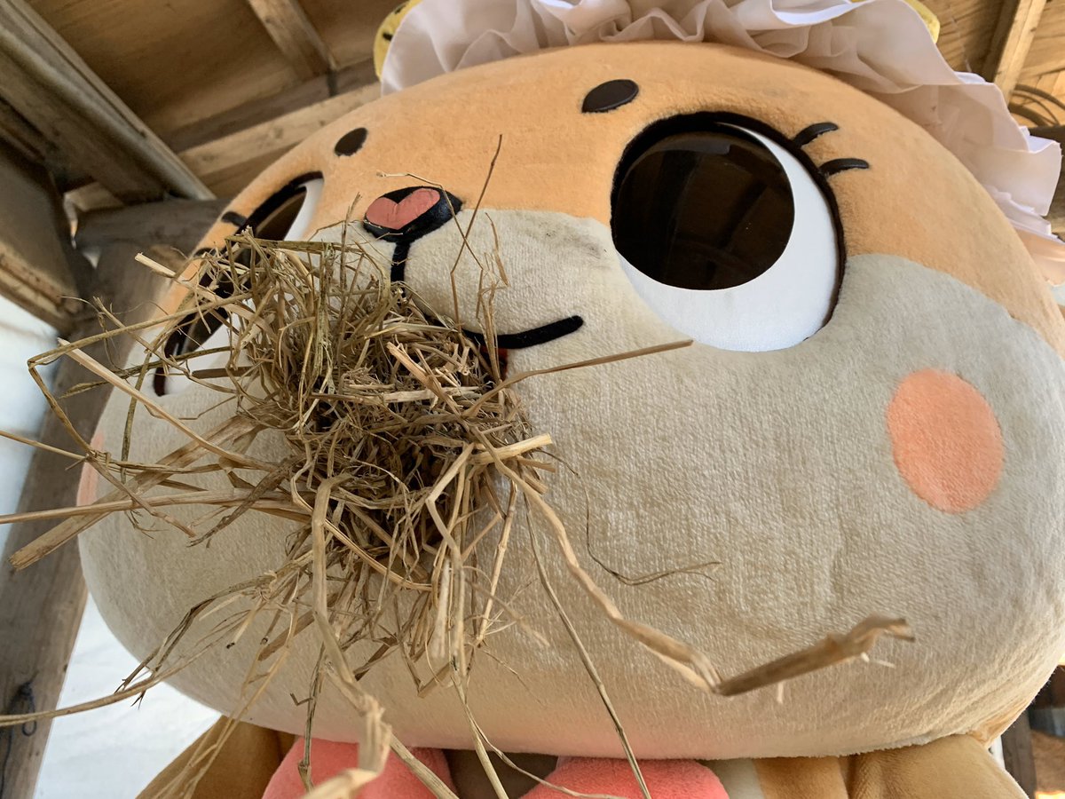 ＿人人人人人人＿ ＞マジ草ですっ☆＜ ￣Y^Y^Y^Y^Y^Y^Y￣ ちぃたん