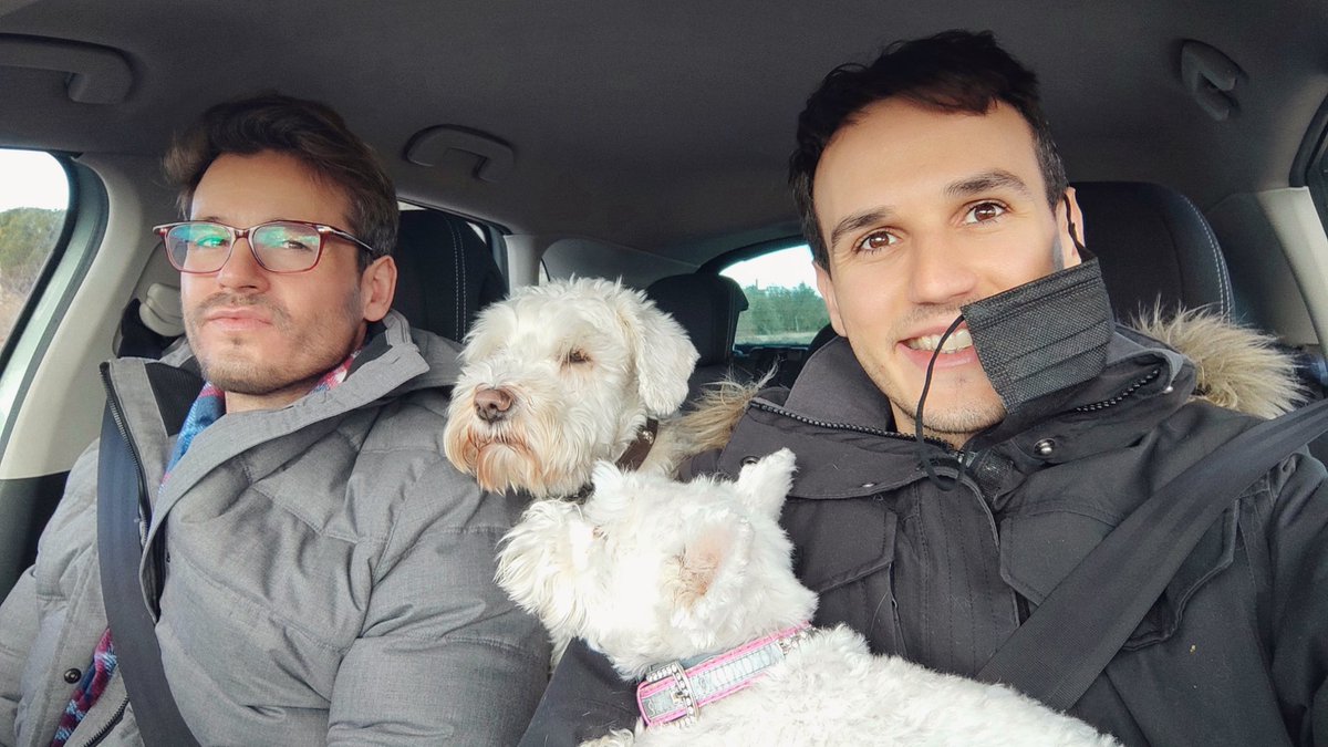 Tintinaco's tweet photo. Día de perros #beardout https://t.co/pslO0oWHBE