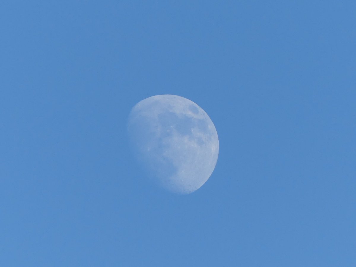 vrouwmol's tweet photo. Prachtig te zien vanmiddag #wassendemaan https://t.co/EiD8N73Vh7