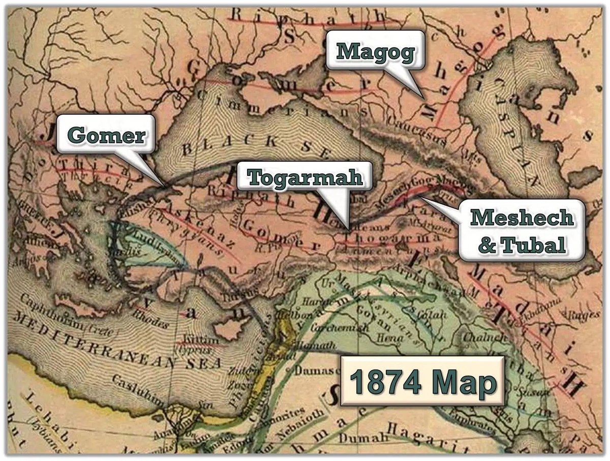 “‘Men of Beth Togarmah exchanged chariot horses, cavalry horses and mules for your merchandise.“‘The men of Rhodes traded with you, and many coastlands were your customers; they paid you with ivory tusks and ebony.