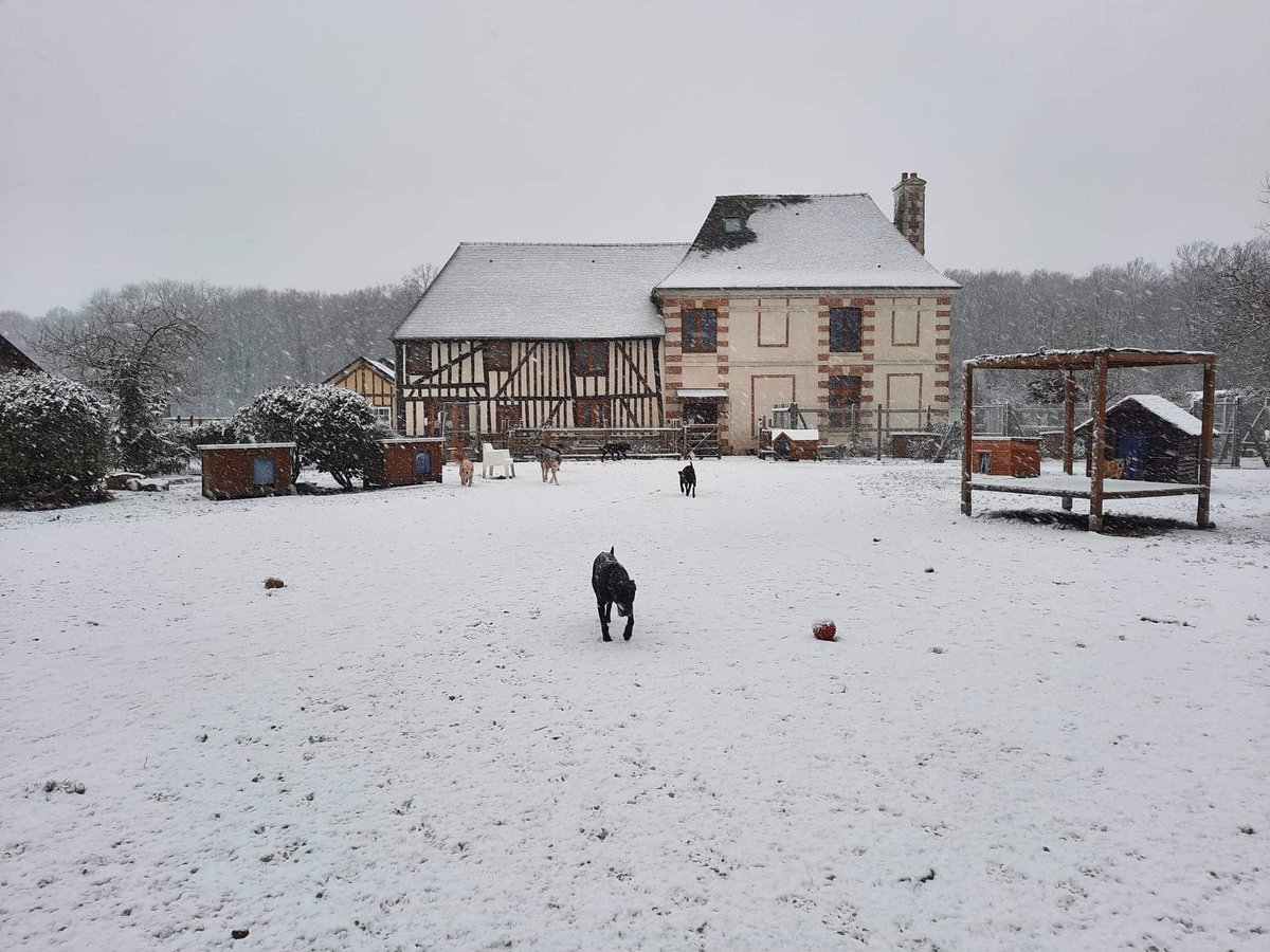 FBB / La vie de nos 3 refuges et des animaux 🏡 tweet media