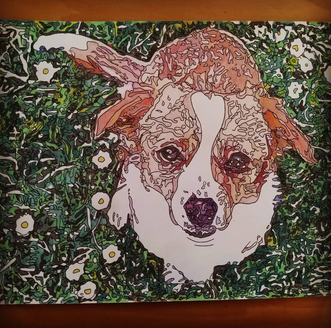 shurmiento's tweet photo. 🐶
#Comission #DogSketch #DogArt #DogDrawing #Dog #DogsOfInstagram #Drawing #Dogs #PetPortrait #Sketching #DogPortrait #DogArtwork #Illustration #Animalart #Artwork #Dogstagram #PencilSketch #DogPainting #AnimalSketch #PetSketch #PetDrawing #DogKovers #DogSketches #PencilDrawing https://t.co/cJAA2c98SA