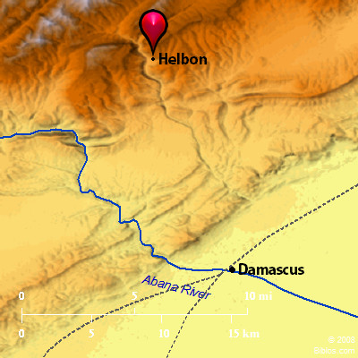 Damascus did business with you because of your many products and a great wealth of goods. They offered wine from Helbon, wool from Zahar and casks of wine from Izal in exchange for your wares: wrought iron, cassia and calamus.Dedan (NW Arabia) traded in saddle blankets with you.