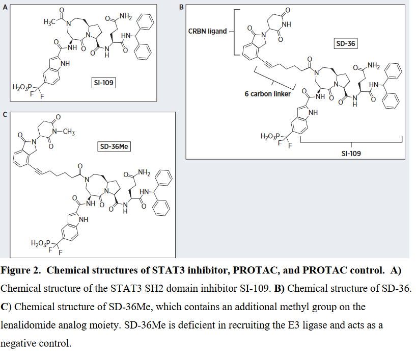on STAT3 druggabilityTargeting STAT3 with proteolysis targeting chimeras (PROTACs) and next generation antisense oligonucleotides (ASOs) https://mct.aacrjournals.org/content/early/2021/01/21/1535-7163.MCT-20-0599