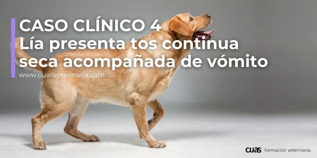 cuas_vet's tweet photo. Hola auxiliar técnica veterinaria #ATV, descubre este caso clínico en:
https://t.co/hVfIM0W21x https://t.co/BC0qOE0lfF
