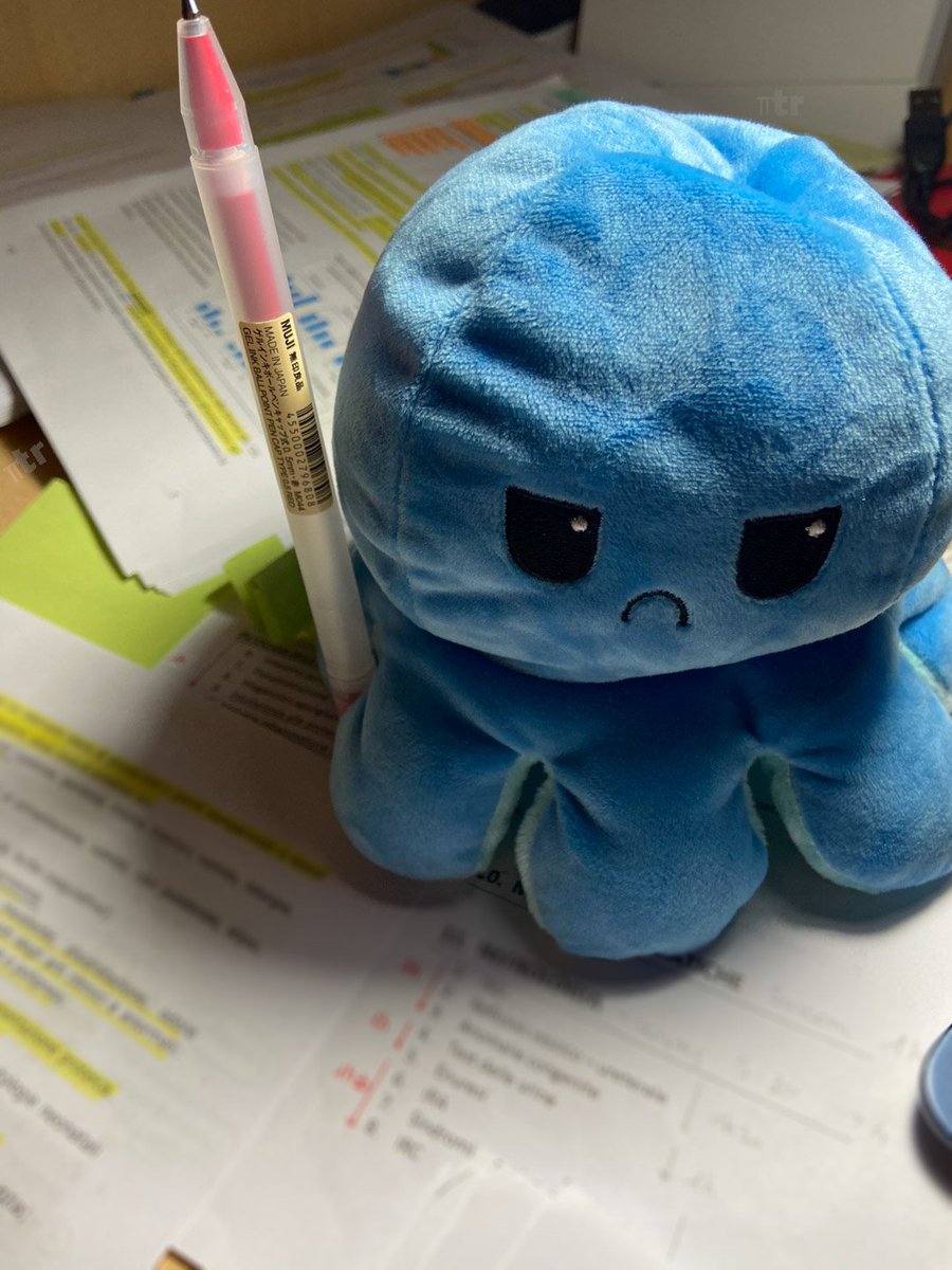 pirulexis's tweet photo. os presento a pulpito, que le gustaría estar en el caribe pero tiene que estudiar https://t.co/nb2blhkmoz