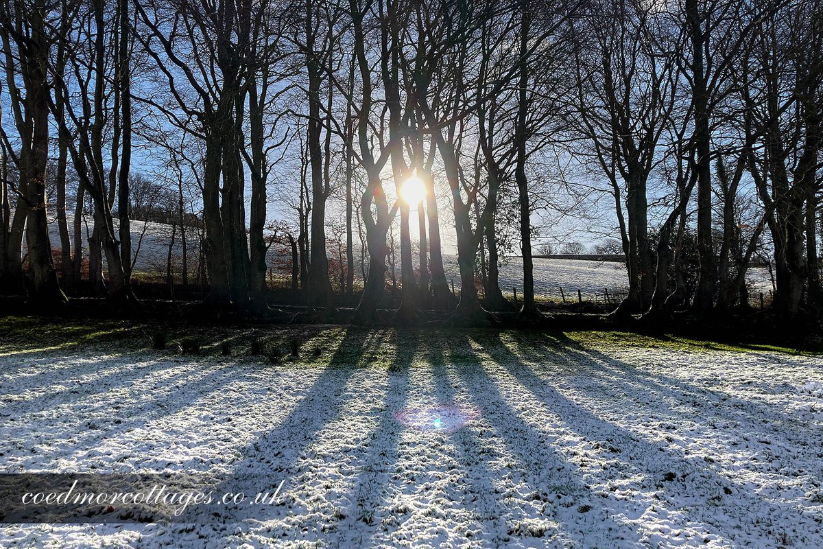 coedmorcottages's tweet photo. Tree shadows on the snow. Still in lockdown but hopefully our cottages will be able to have guests by the Summer 🤞
https://t.co/Ag4uoJmnUj 
#visitcymru #discoverwales #findyourepic #ceredigion #lampeter #cambrianmountains
@CambrianNews
@visitwales
@VisitMidWales
@itvcoastcountry https://t.co/mnPGAtWQhX
