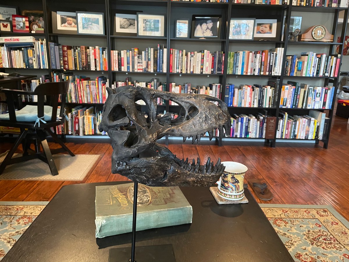 Gerhard Brummer tweet media