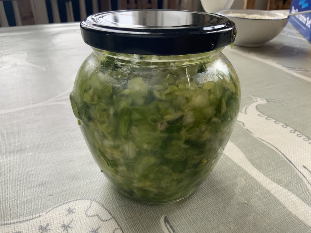 artisanschool's tweet image. Great cabbage moment for making #sauerkraut ⁦@sandorkraut⁩ #fermentation #lockdownfun