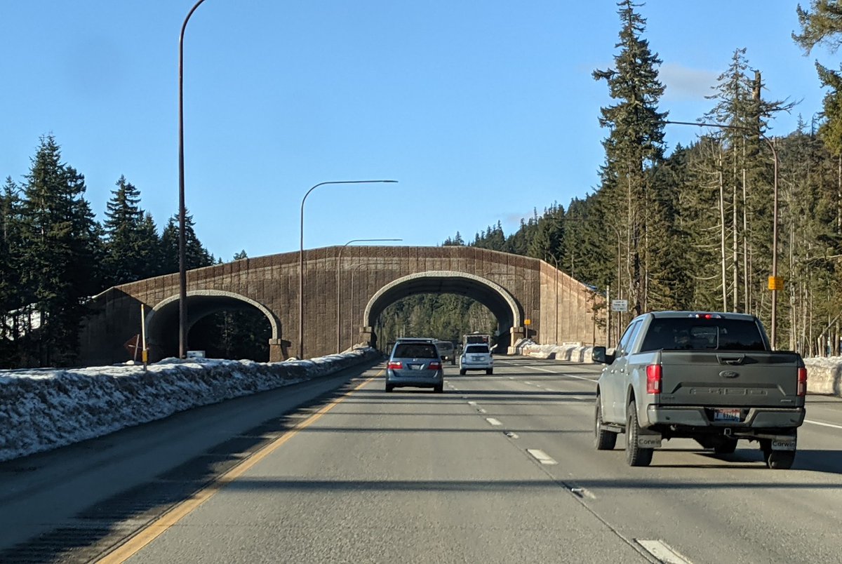 As someone who studies wildlife movement and dabbles in #roadecology, it was very cool to see the I-90 wildlife overpass in WA. #WildlifeCorridors