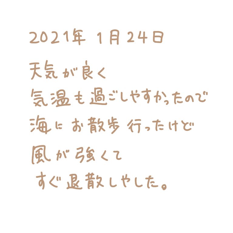 もん 小豆 10m 寒くはないけど風はきつい 絵日記 日記 イラスト ゆるいイラスト 絵 日常 手描き 手書き イラストエッセイ イラストグラム かたるゆうびん 赤ちゃん 生後４ヶ月 ４ヶ月ベビー 沖縄 海 海風 強風 T Co Lar3cnghzl