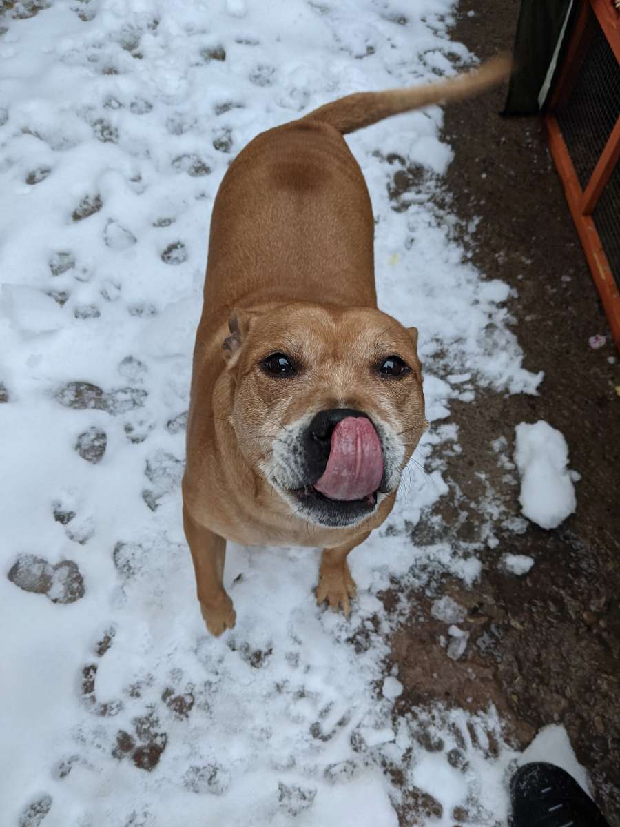 carl (@carlarmbong86) on Twitter photo 