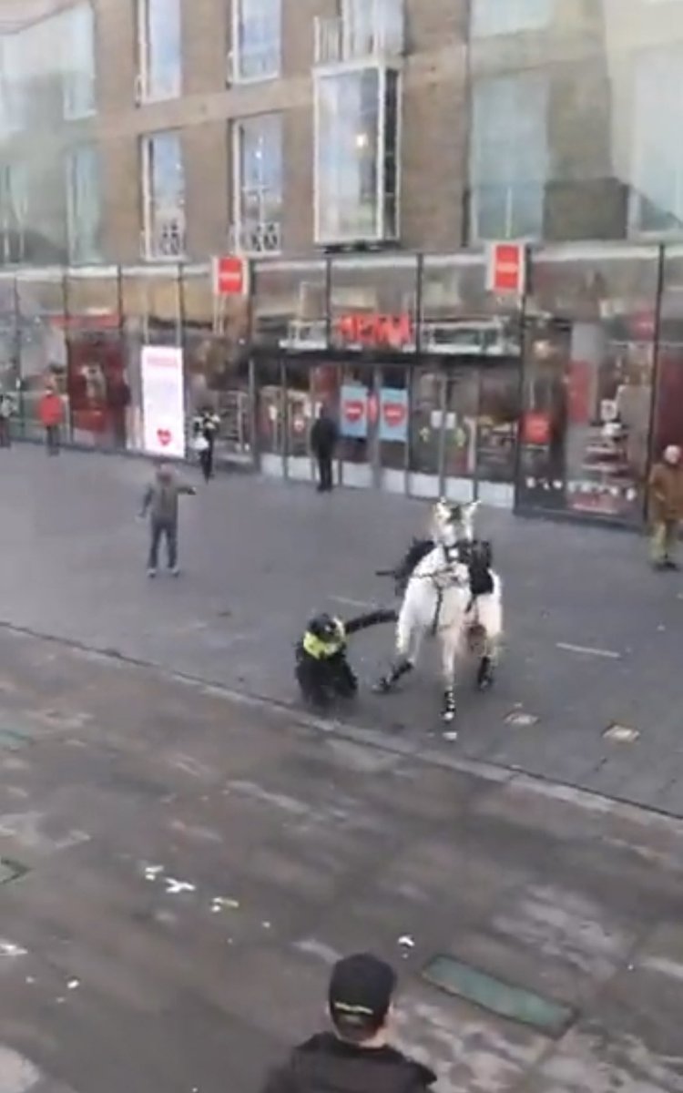 vdMeerTom's tweet photo. In Telegram te zien hoe zwaar vuurwerk naar politiepaarden wordt gegooid in #Eindhoven. Twee politiepaarden gaan met ruiter en al onderuit. https://t.co/1tqJ4vHTbA