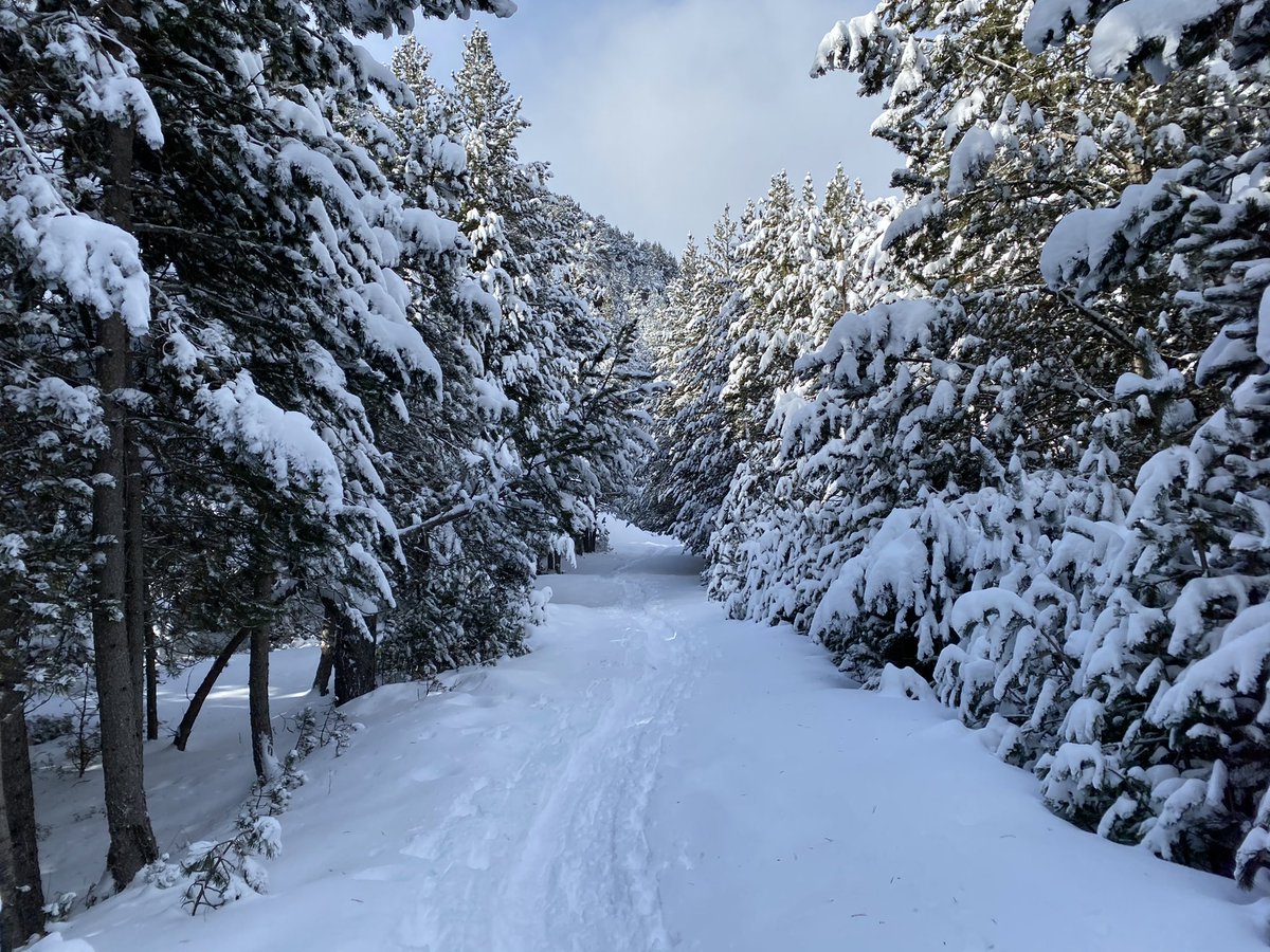 #encamp 🏔#canillo 🏔 
.
#andorra #winter