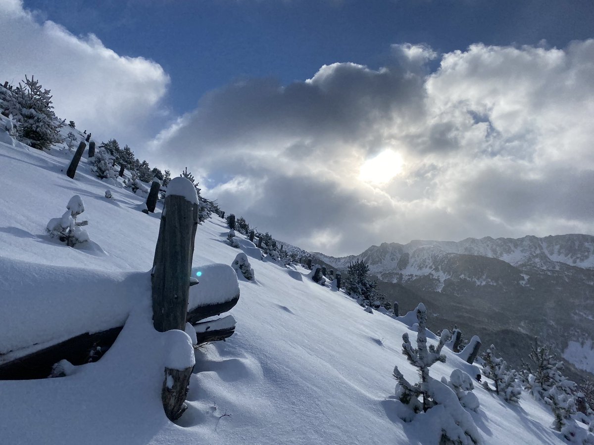 fernanda barbosa tweet media