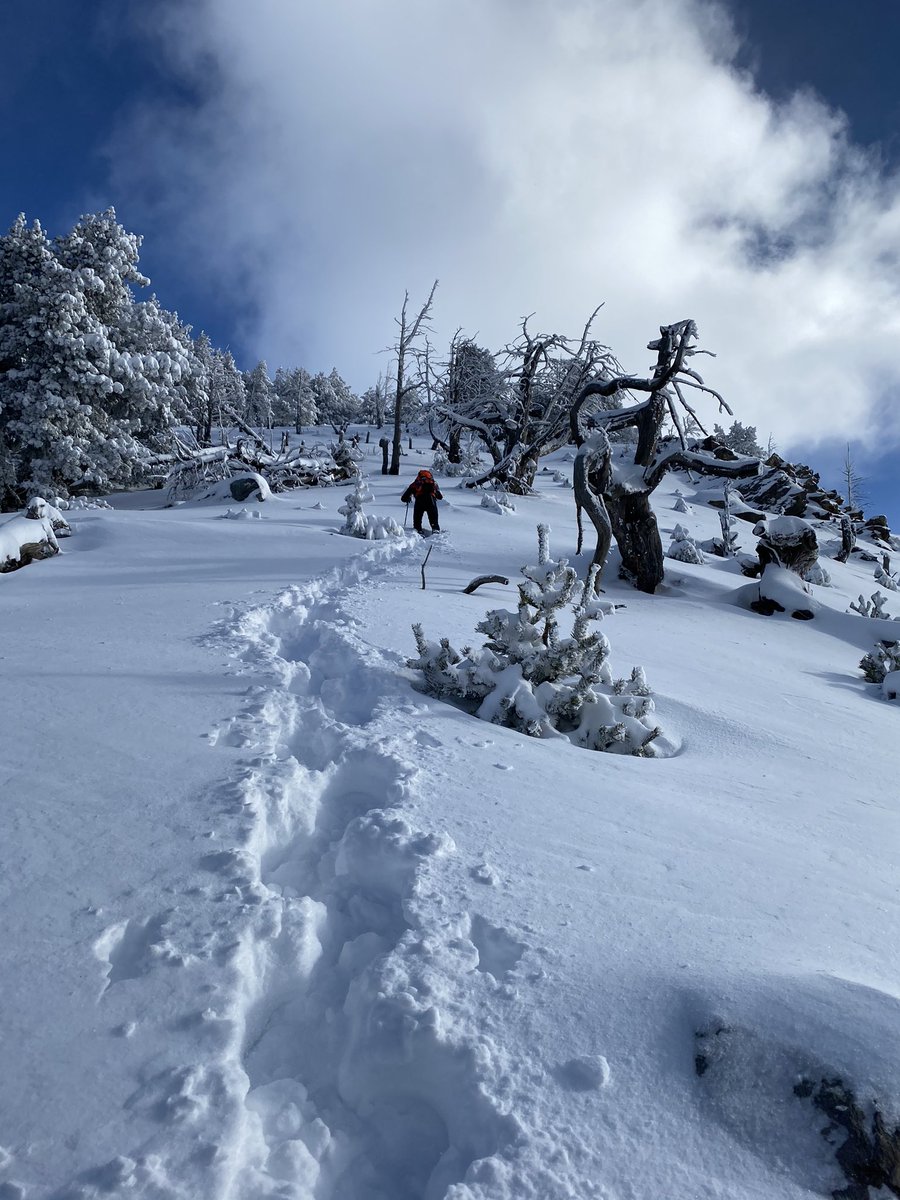 fernanda barbosa tweet media