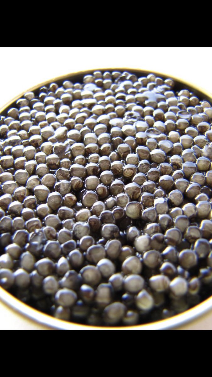 6sentidosjuanu's tweet photo. #Caviar #Esturion #Beluga #Osetra #Siberiano #Baeri #6Sentidos #Seleccion de #Lujo https://t.co/CUt8TXxFKN