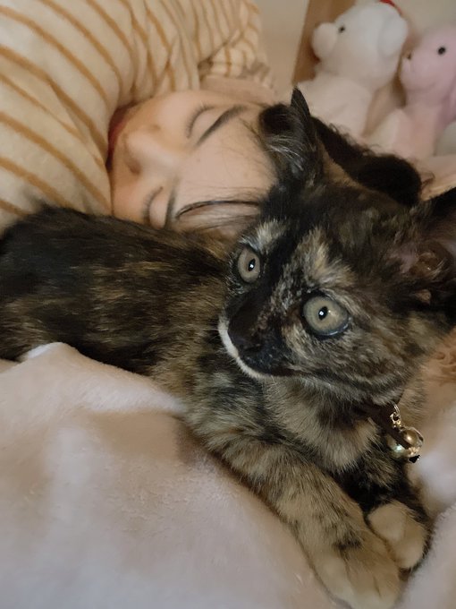 Twitterのコスプレ画像2