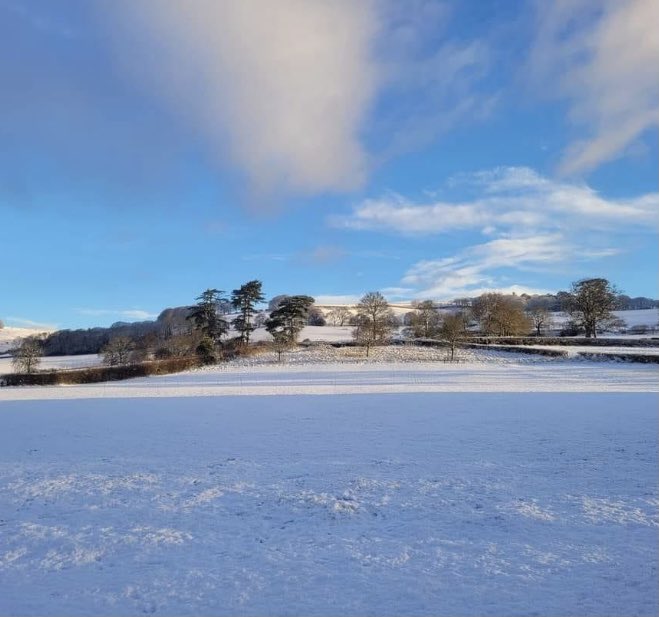 Crowcombe Cricket Club tweet media