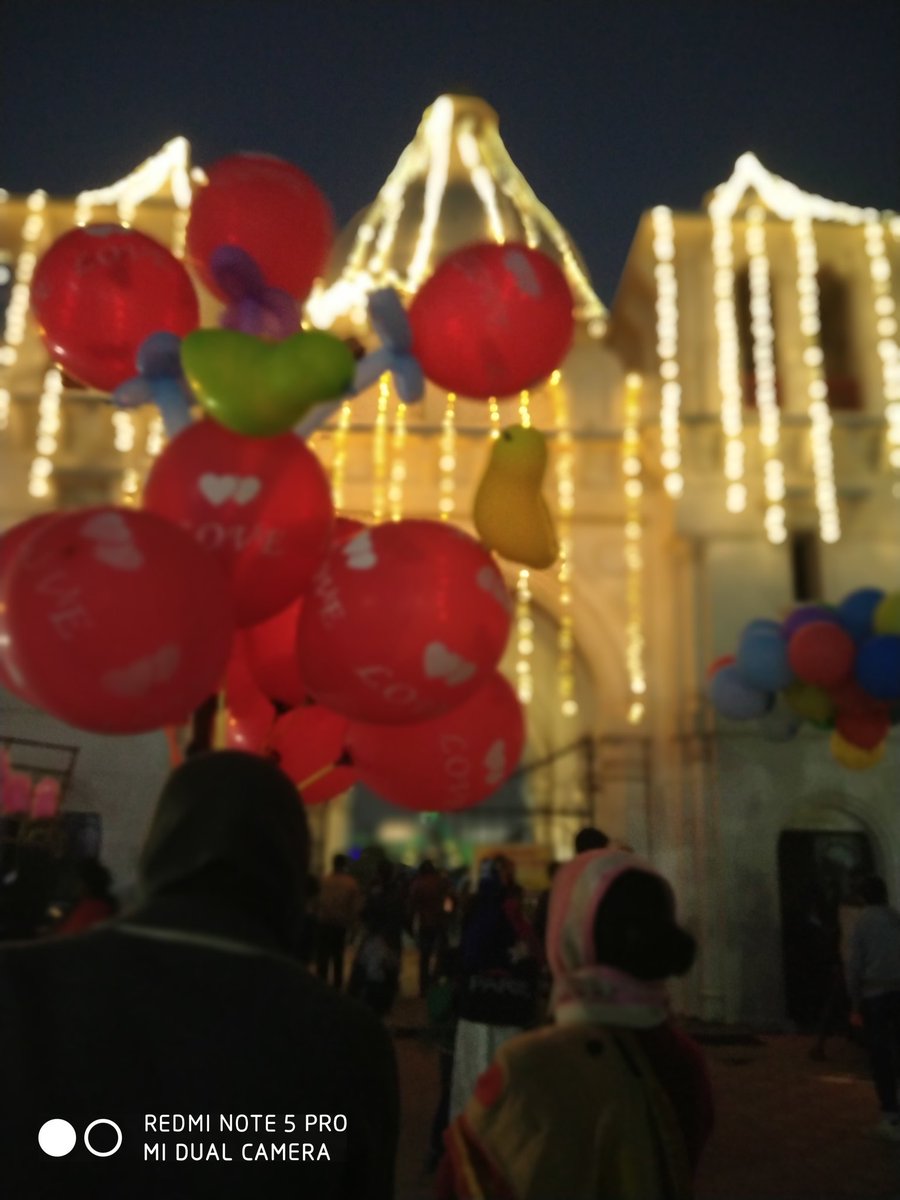 Few more pics... (13/n)