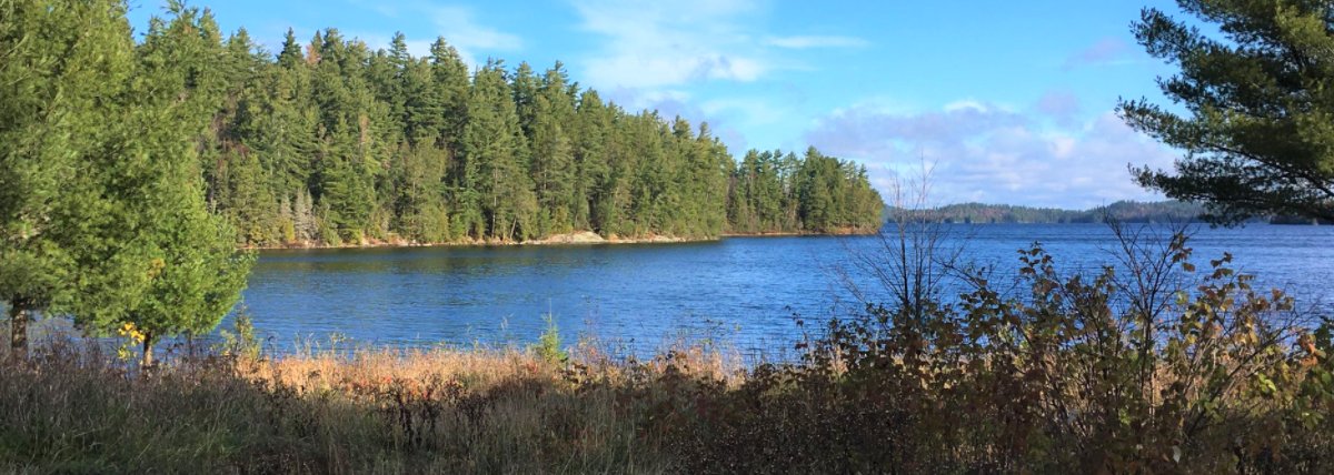 Canada has a lot of gems for fishing trips and if Quebec is on your radar then Lake Kipawa (Western part of QC) is one to look at. Loon &amp; Eagle Outfitters offers an overview: mycanadafishingtrip.com/blog/view/queb…
.
#fishing #canadafishing #fishingtrip #quebec