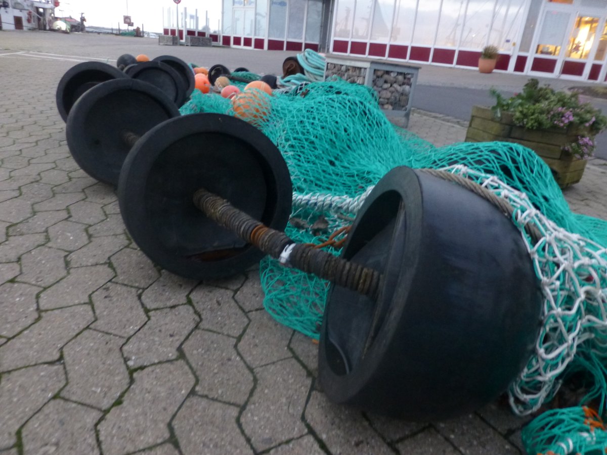 fischereischut1's tweet photo. Management and monitoring of bycatches can only be secundary. The solution is to find in technical measures by the gears in  the fishery with towed gears. Stopp Rock Hopper trawling as a first step. https://t.co/CB7ZZpjCws