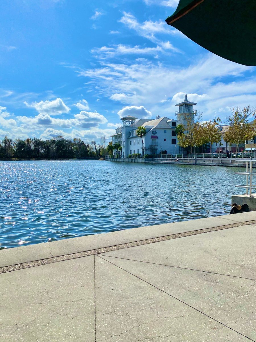 DBRealtors's tweet photo. No better way to start the day than this... 64° and ☀️ in Celebration, FL. #celebrationflorida #celebrationfl #floridawinter #sunshinestate #lovewhereyoulive #liveworkplay #centralflorida #centralfloridarealestate #DreamBuildersRealty https://t.co/dSIwB3P5mW
