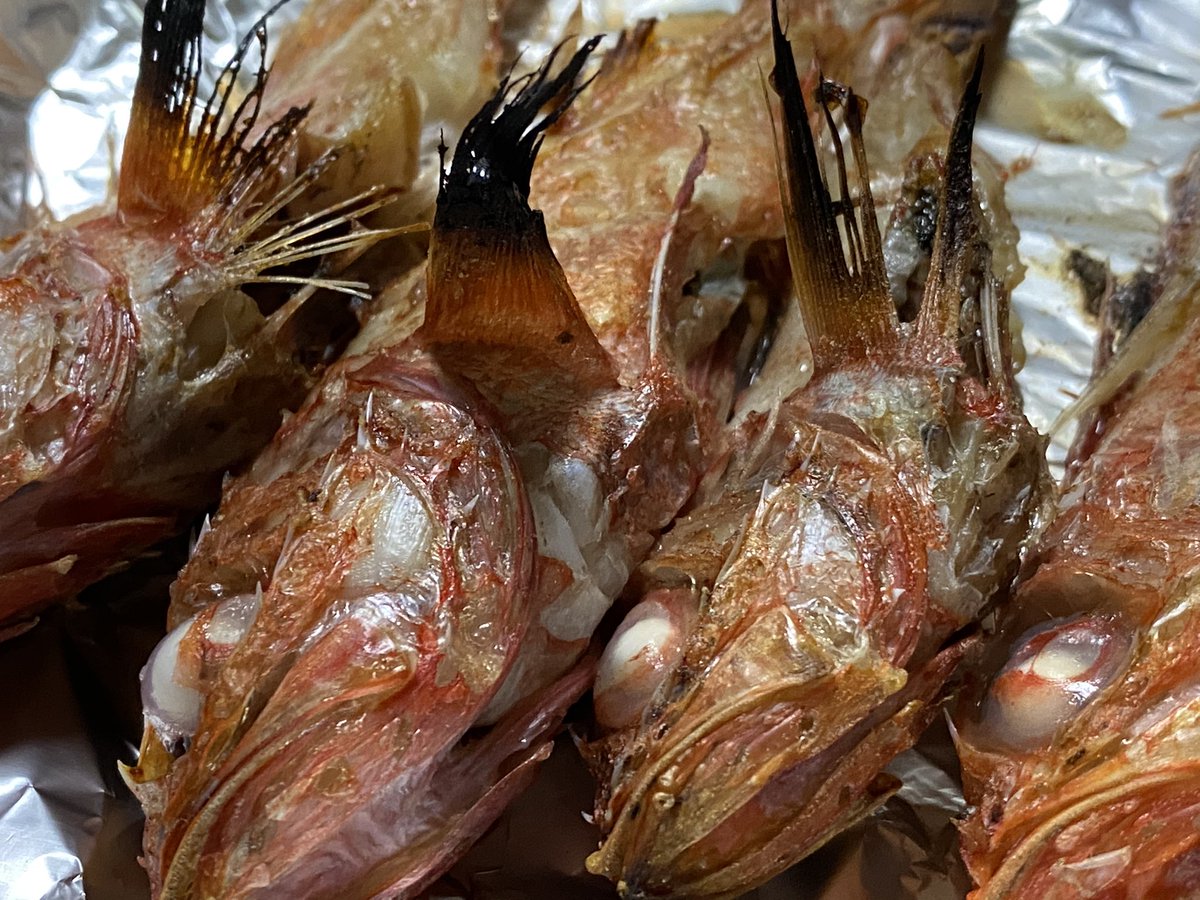 今夜はキンキをつまみに獺祭で1杯🥃

by大学生