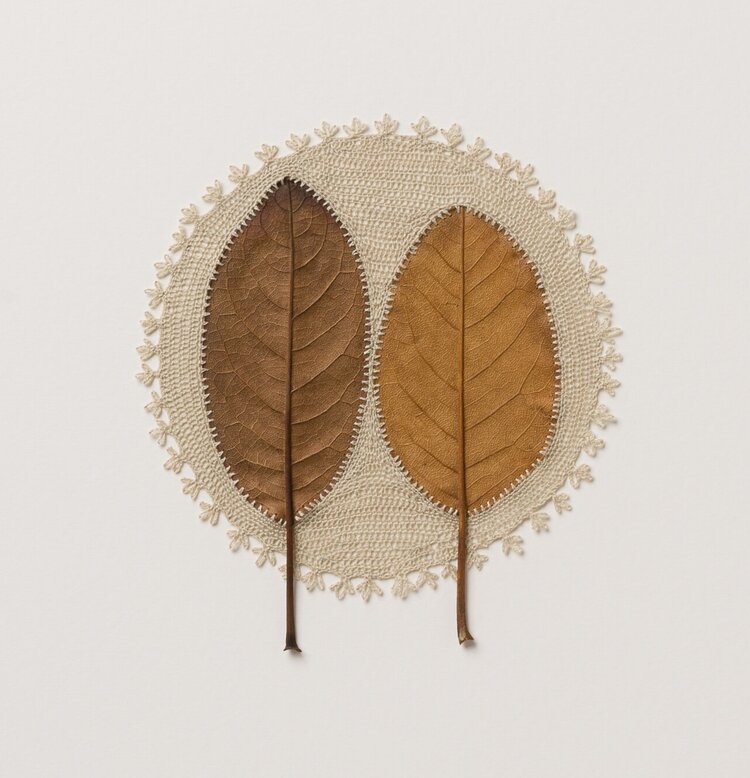 Delicate embroidered leaf sculptures by © artist Susanna Bauer <a href="/Susanna_Bauer/">Susanna Bauer</a>