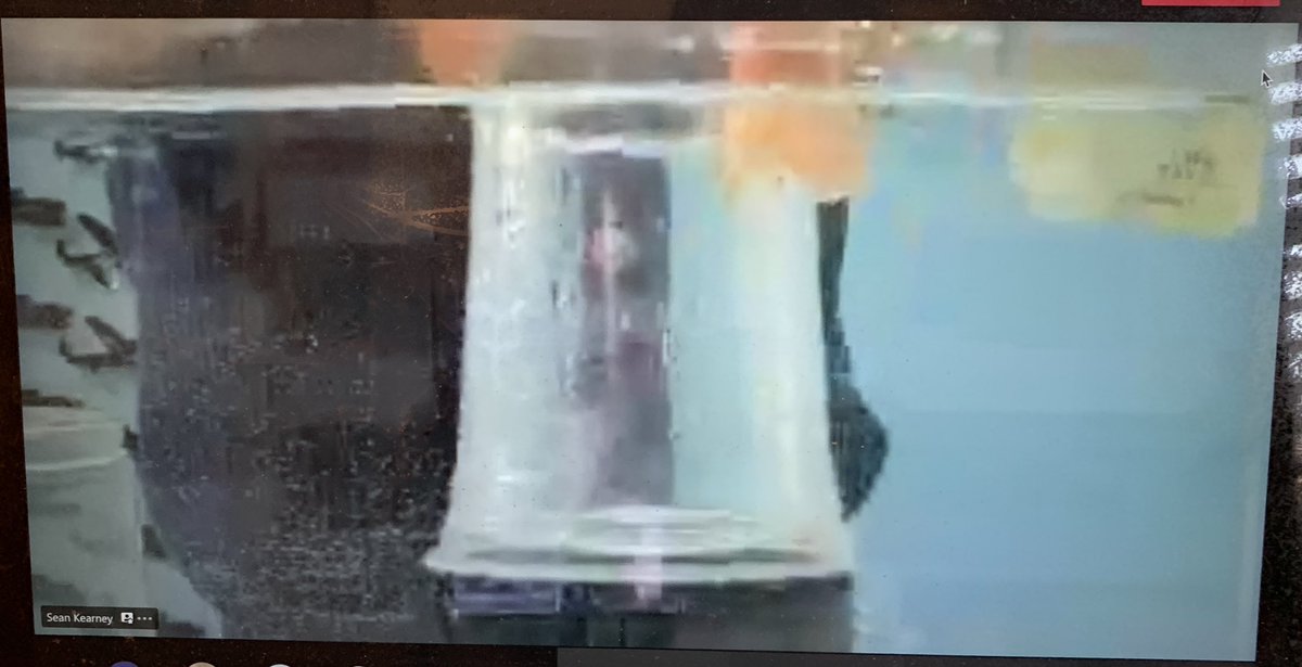 Grade 6 students <a href="/HetheringtonPS/">Hetherington School</a> visited the <a href="/CWHM/">Canadian Warplane Heritage Museum</a> this week.  We learned a lot about the properties of air and forces of flight.  We then toured the museum to see the planes.  Thanks for a great tour Sean! <a href="/Mrs_hamzology/">Fouada Hamzeh, Ph.D. 🇨🇦🇵🇸🪬</a>