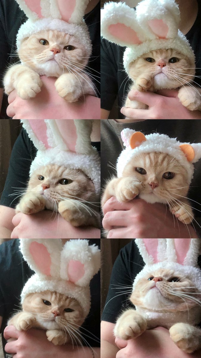 Keep looking into Sally's eyes, you will feel something