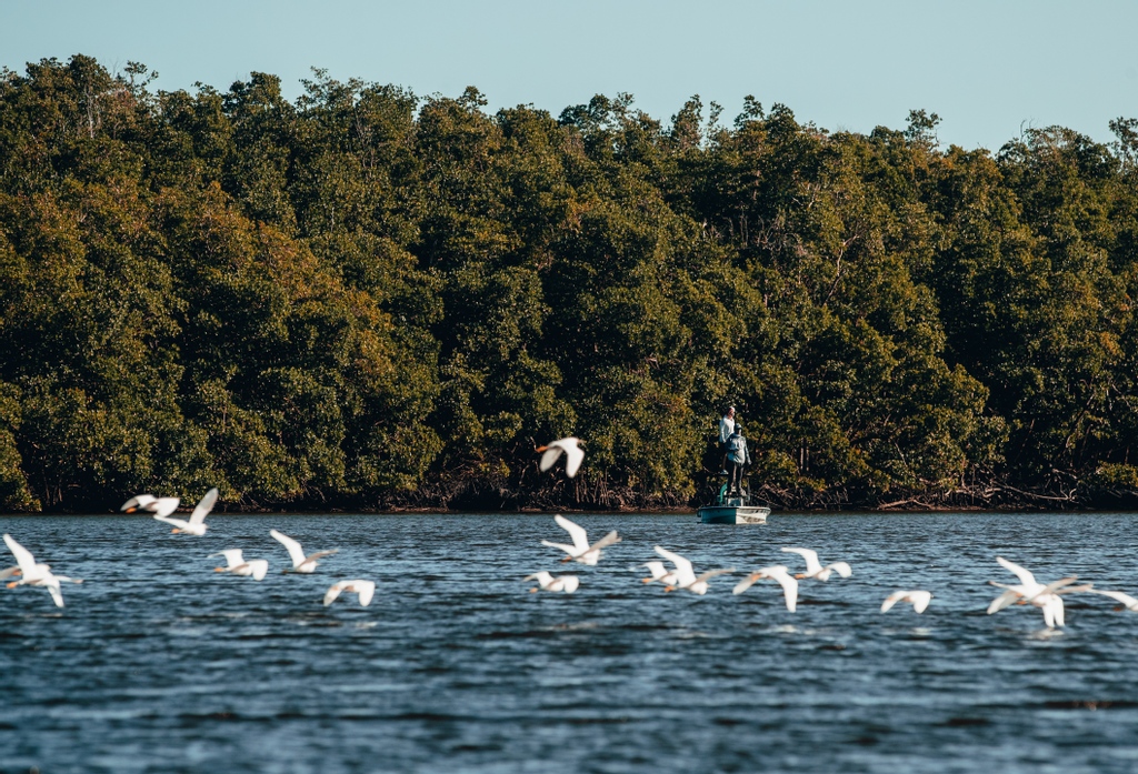 hellsbayboats's tweet photo. Another day in paradise... 

#HellsBayBoatworks #HellsBay 
 #EvergladesRestoration
#Everglades 
#CaptainsforCleanWater #BTT #GHOF #C4CW https://t.co/9vwlycqkUN