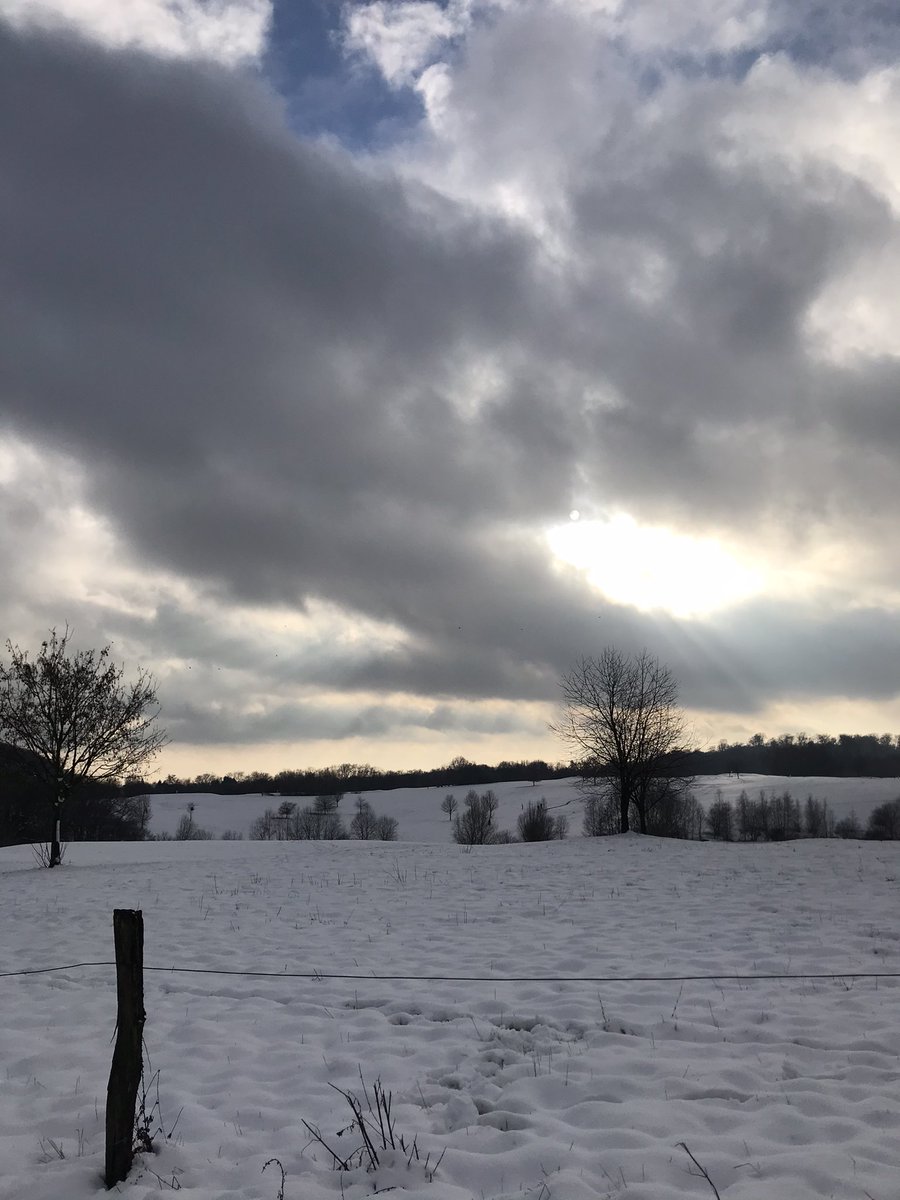 Von diesem Spaziergang sind meine Füße jetzt komplett durchnässt :/