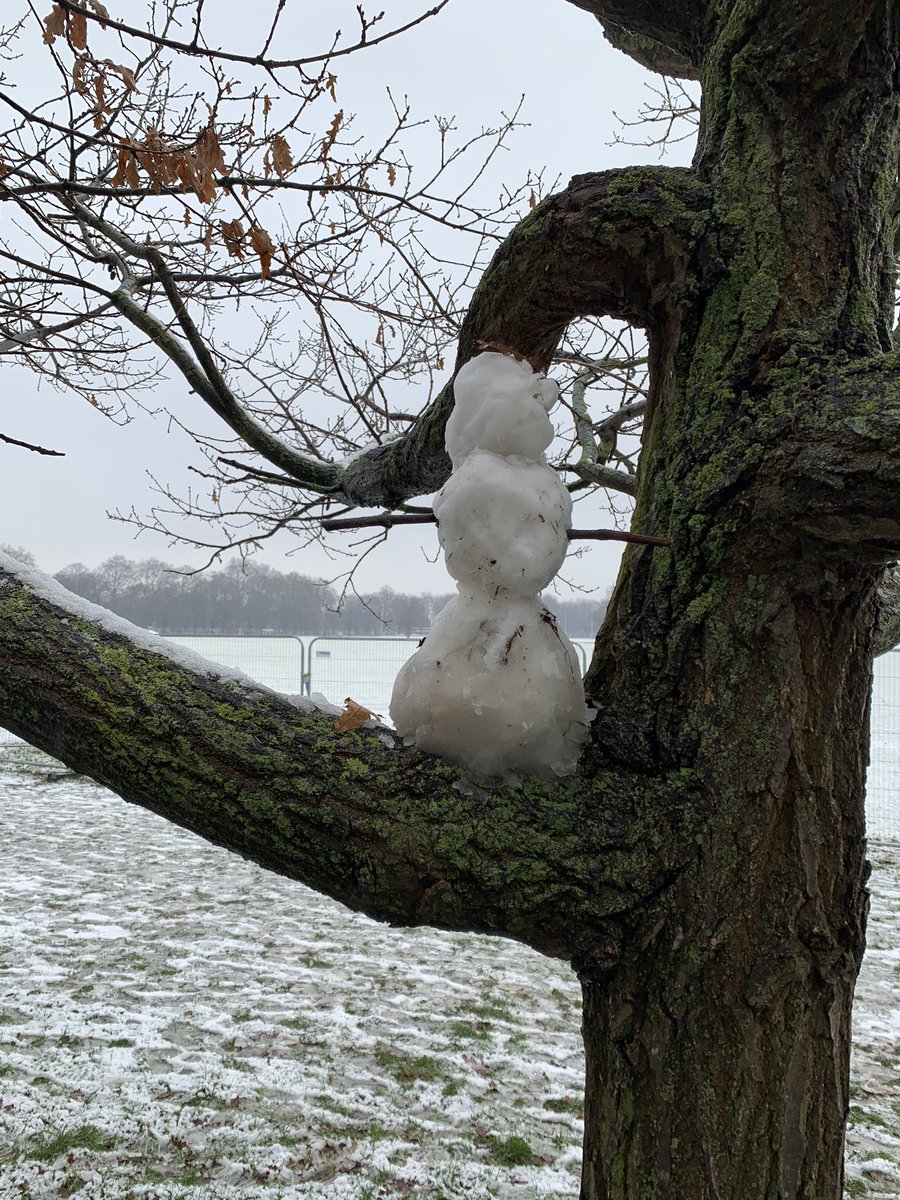 Creativeness 5/5 (Have you ever seen a snowman in a tree before?!)Expression 1/5 (I don’t think he has a face...)Snowballs = 39 points for the snowman who watches over all snowmen  #RateMySnowman