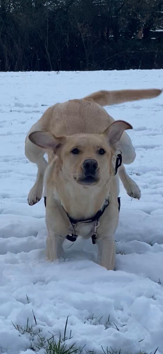 Ashleigh Berry tweet media